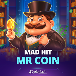 Mad Hit Mr Coin